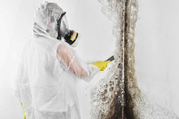 Best Industrial Mold Remediation in Columbus, IN
