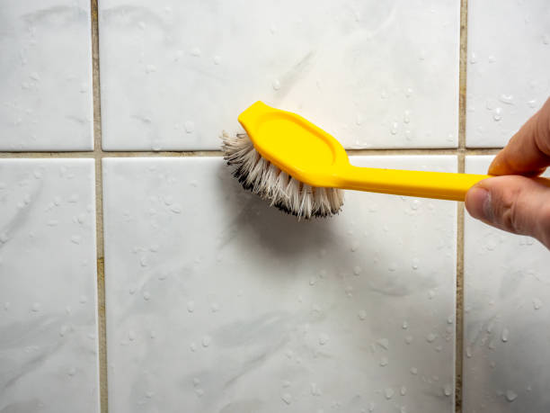 Best Mold Remediation for Specific Building Types in Columbus, IN