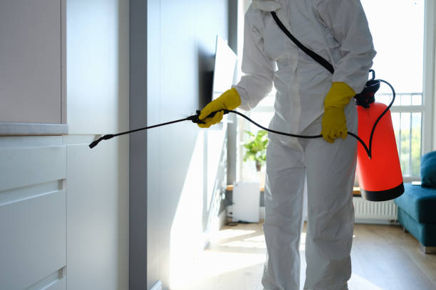 Best DIY Mold Remediation Support Services in Columbus, IN